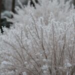 découvrez comment la vétusté déduite impacte le montant de votre remboursement en fonction de l'usure du bien assuré.